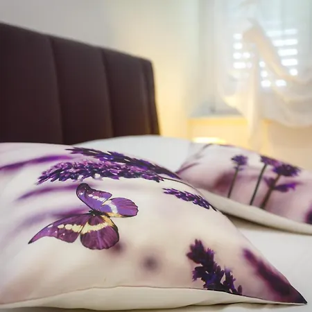 Apartmán Dragica